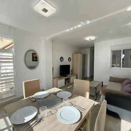 Moder Style Caballos *