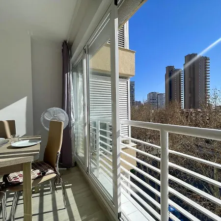 Moder Style Caballos *