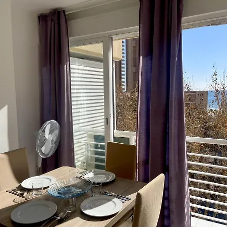 Moder Style Caballos *